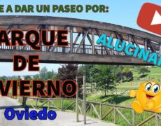 Descubre el encanto del turismo invernal en Oviedo: Explorando el Parque de Invierno