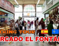 Turismo en Oviedo: Descubre el encanto de ir de compras en el Mercado de El Fontán